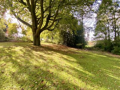 Picture 31